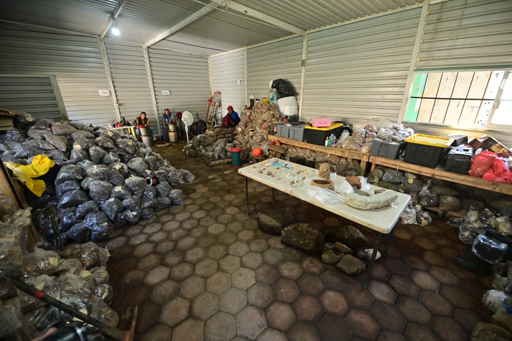 Photo by MARCO ANTONIO MARTINEZ / AFP View of various objects—possibly in the Maya style—found at an archaeological site, which have been cataloged and are undergoing classification and documentation in Coatepec, Veracruz, Mexico on June 18, 2026.