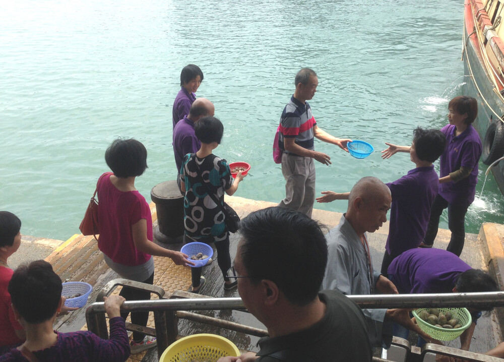 AFCD patrols animal release sites to stop good gestures from turning ...