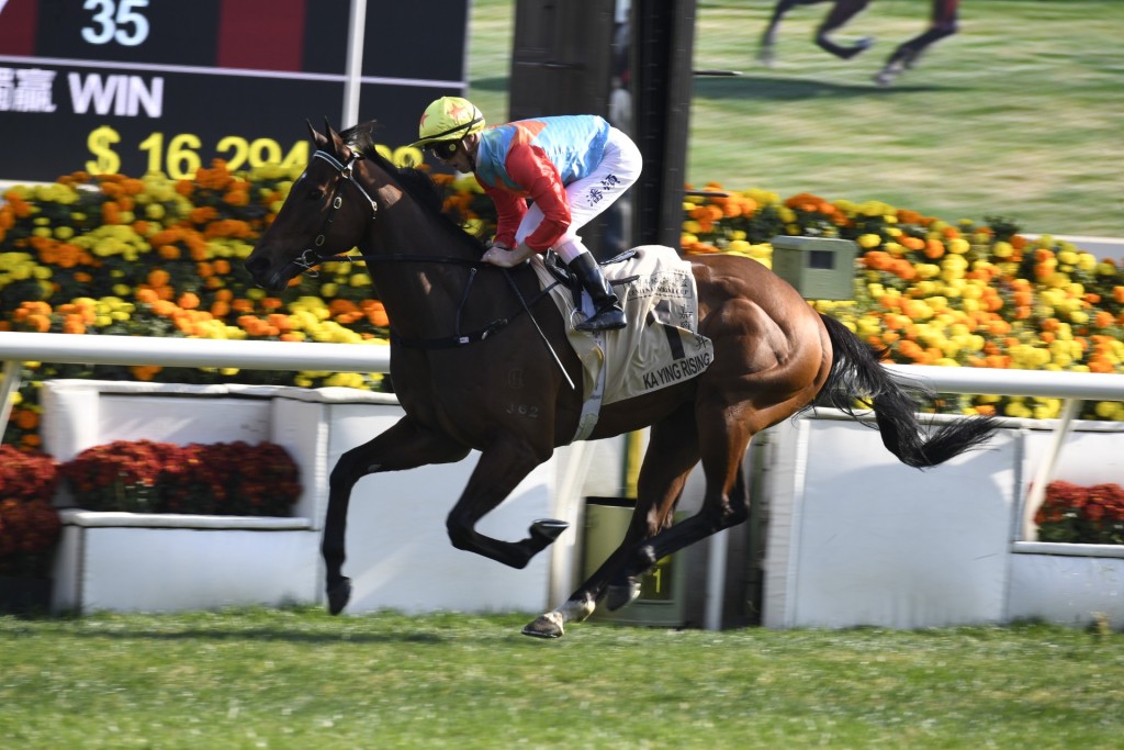 Ka Ying Rising, with Zac Purton aboard, wins in a record time of 1:07.20 over 1,200 meters at Sha Tin. (Credit: Sing Tao)