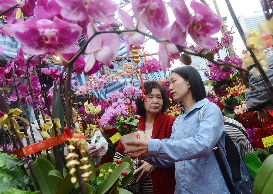 Flower stalls at the fairs will packed to the gills as residents rush to pick new year blooms such as calamondin orange trees and peach blossoms. SING TAO