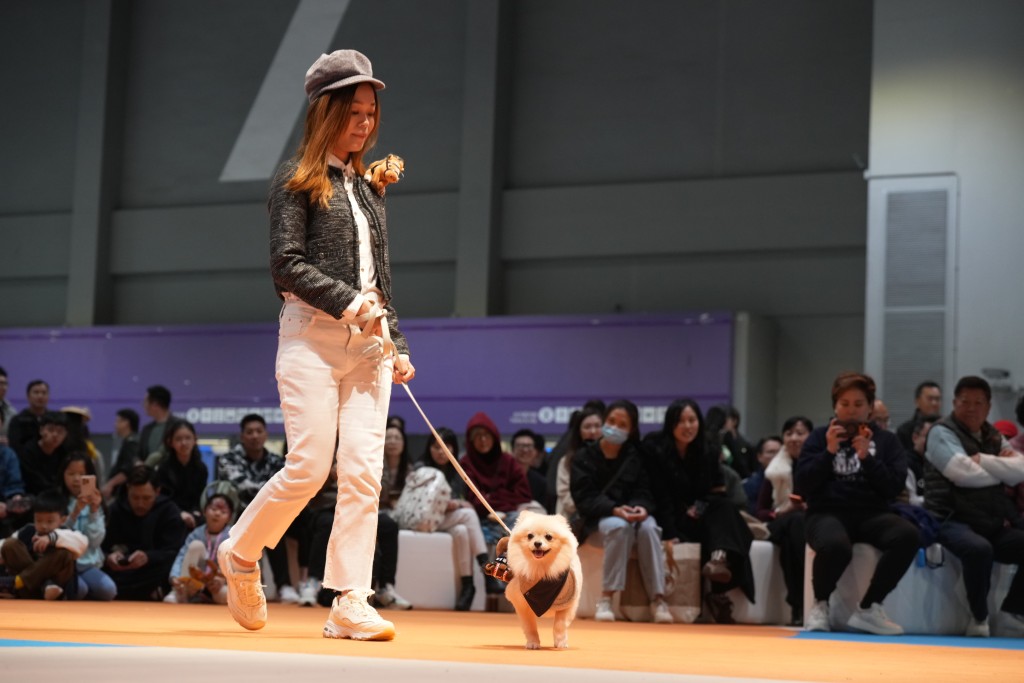 The dog fashion show took place at Lifestyle Shopping Village, bringing joy, charm, and smiles to adults and children.