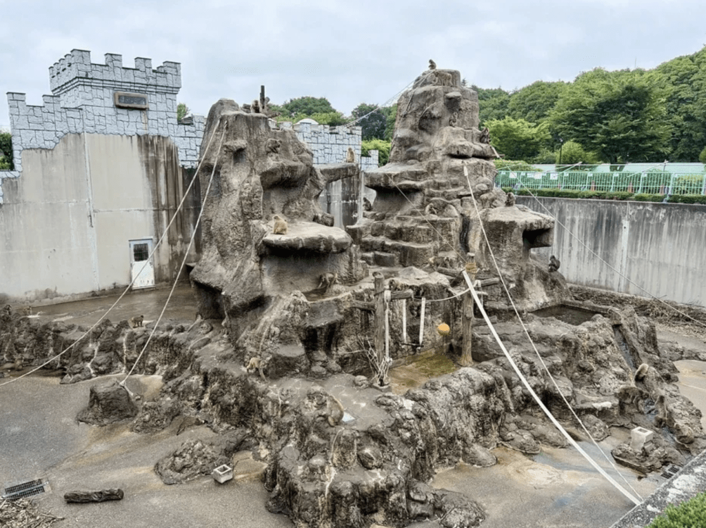ichikawa_zoo@X