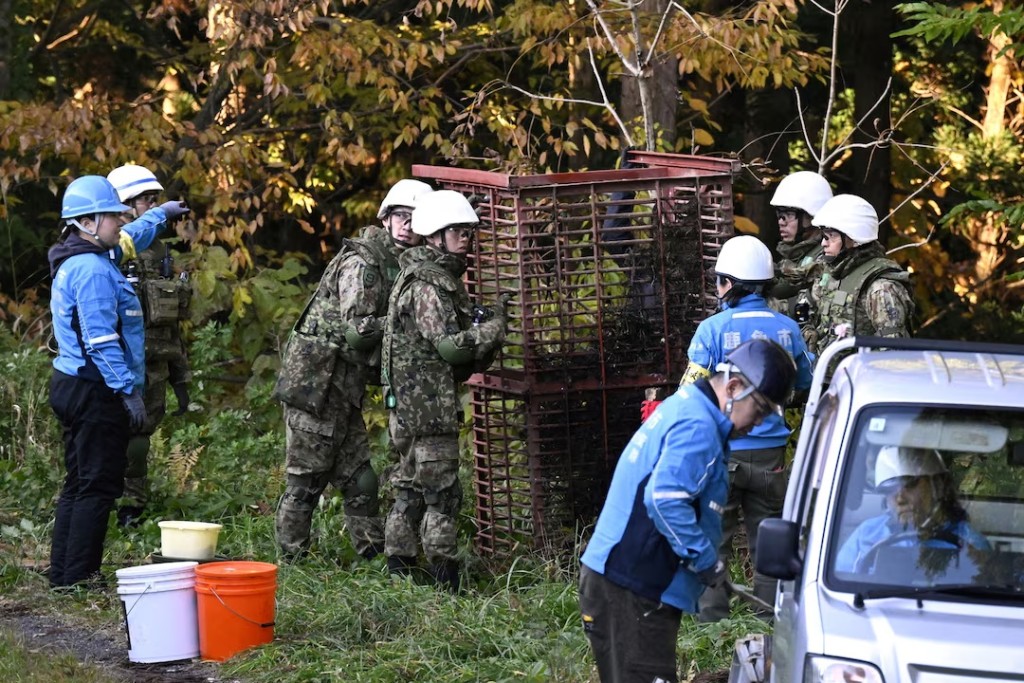 Members of Japan Self-Defense Forces (JSDF) set up a bear trap in Kazuno, Akita Prefecture, Japan, in this photo taken by Kyodo November 5, 2025. Kyodo/via REUTERS