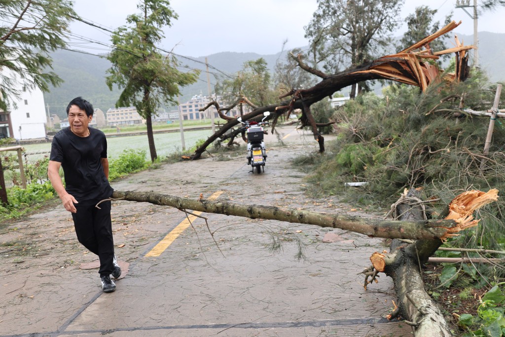 Photo by - / CN-STR / AFP  A man clears tree branches knocked down by Typhoon Bavi in Wenling, in China’s eastern Zhejiang province on July 12, 2026.