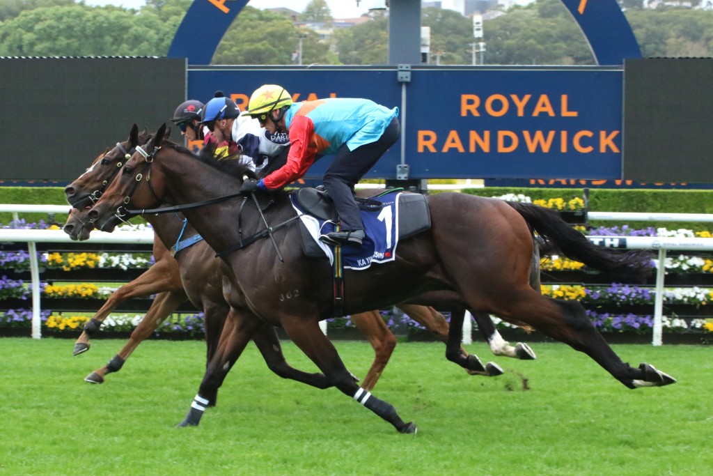 Ka Ying Rising finishes third in a barrier trial at Randwick Racecourse, 11 days out from The Everest (HKJC) 