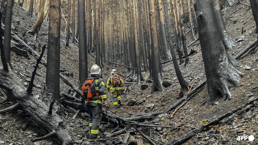 Firefighters walking amongst burnt trees as they battle a wildfire in Ofunato city of Iwate Prefecture on Mar 6, 2025. (Photo: Fire and Disaster Management Agency via AFP) Firefighters walking amongst burnt trees as they battle a wildfire in Ofunato city of Iwate Prefecture on Mar 6, 2025. (Photo: Fire and Disaster Management Agency via AFP)