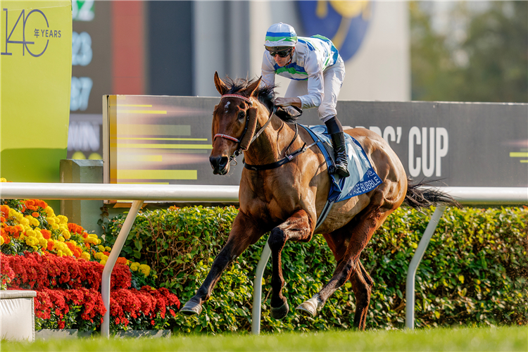 VOYAGE BUBBLE, JAMES MCDONALD / G1 Stewards’ Cup // Sha Tin /// 2025 //// Photo by HKJC VOYAGE BUBBLE, JAMES MCDONALD / G1 Stewards’ Cup // Sha Tin /// 2025 //// Photo by HKJC