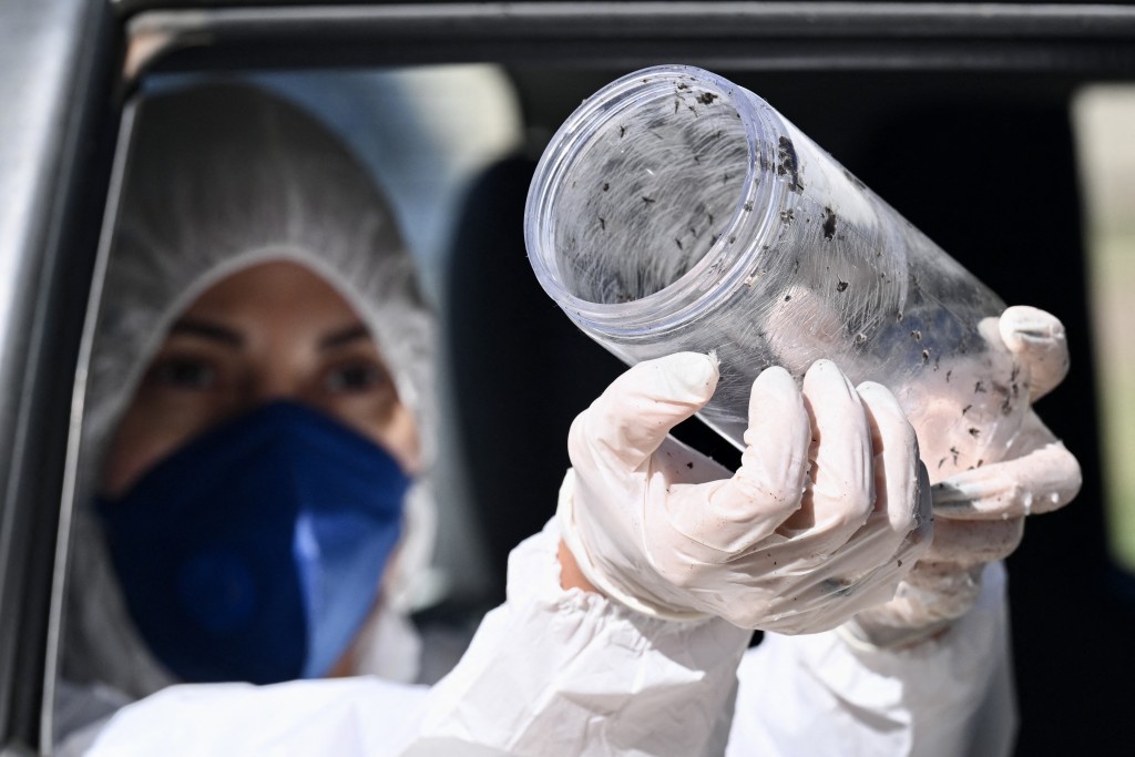Photo by EVARISTO SA / AFP  Aedes aegypti mosquitoes infected with Wolbachia bacteria are released by a technician from the Federal District's Health Department in a residential area of Brasilia on March 10, 2026.