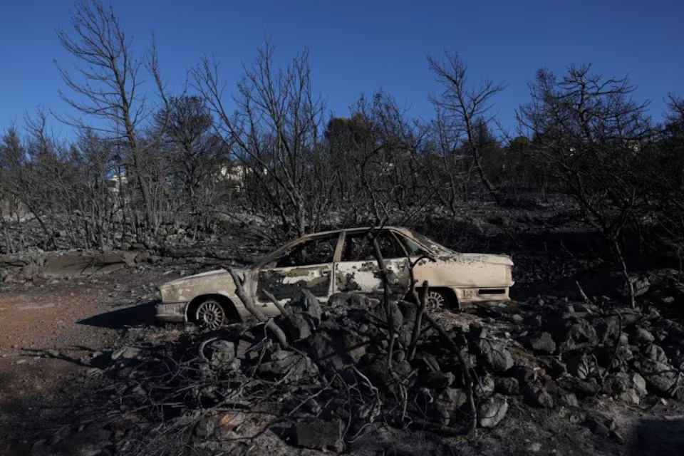 Aftermath of the wildfire in the Penteli area near Athens, Greece, August 13, 2024. REUTERS/Alexandros Avramidis Aftermath of the wildfire in the Penteli area near Athens, Greece, August 13, 2024. REUTERS/Alexandros Avramidis