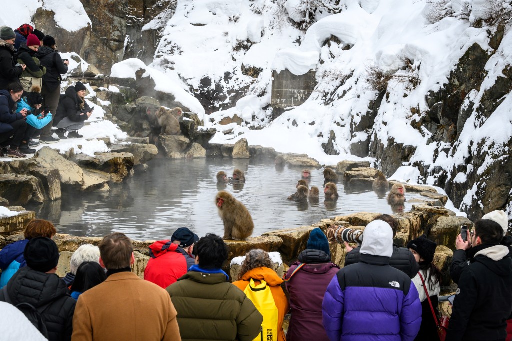 Photo by MLADEN ANTONOV / AFP  This photo taken on February 7, 2025 shows tourists making photographs of Japanese macaques, commonly referred to as "snow monkeys", taking an open-air hot spring bath, or "onsen" at the Jigokudani (Hell's Valley) Monkey Park in the town of Yamanouchi, Nagano prefecture.