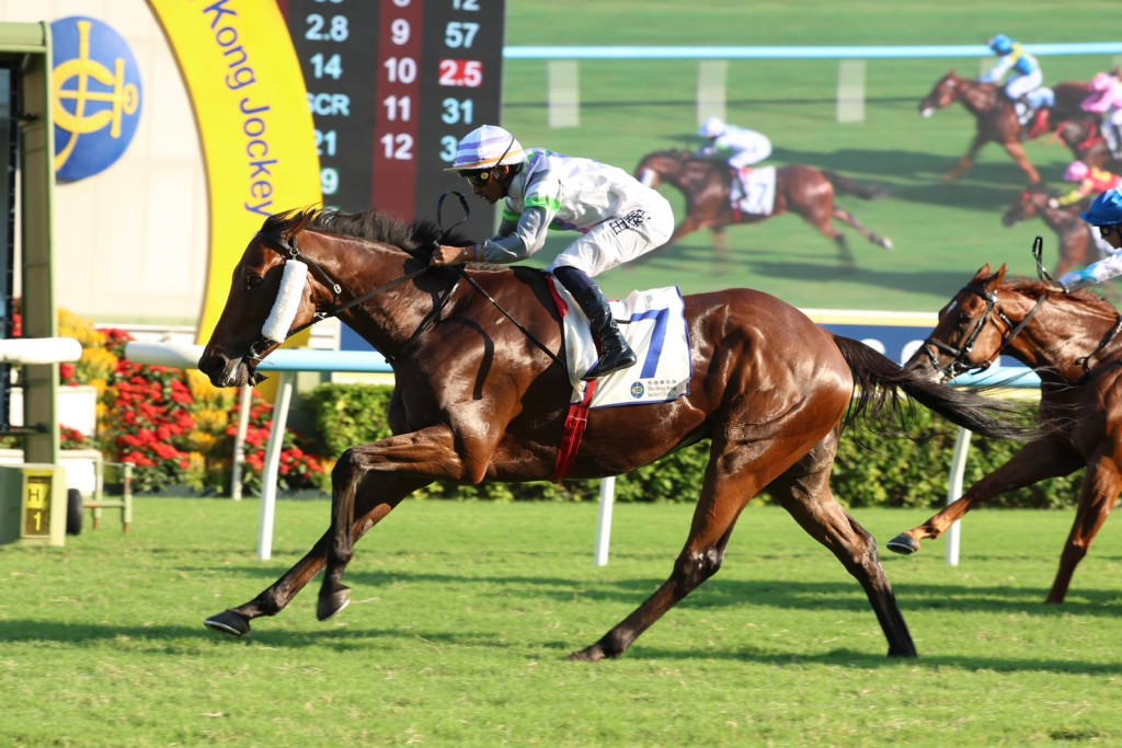 Light Years Charm cruises to victory in the Group 2 Sha Tin Trophy. Sing Tao.