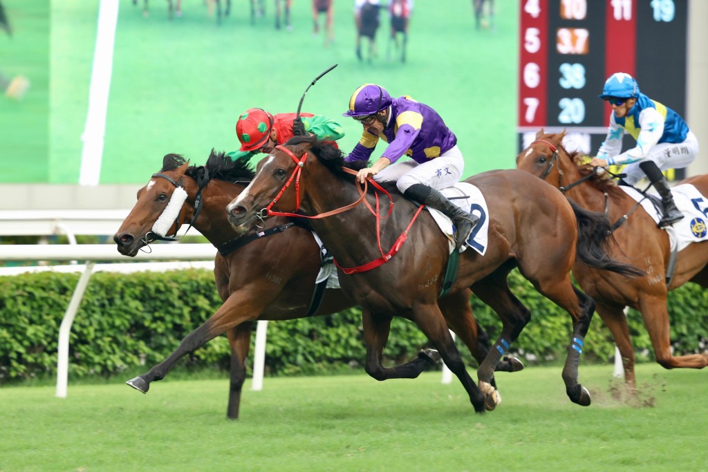 Helios Express, under the urges of Hugh Bowman, scrapes home to beat Invincible Sage (Ben Thompson) in the Group 3 Sha Tin Vase.  