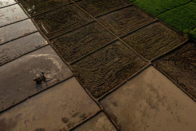 Drone view shows a farmer riding a tractor at a rice paddy field, as the government urged farmers to immediately replant their plots, responding to the erratic forces of weather for a possible prolonged dry spell linked to El Nino, in Cirebon regency, West Java province, Indonesia, June 3, 2026. REUTERS/Willy Kurniawan/File Photo