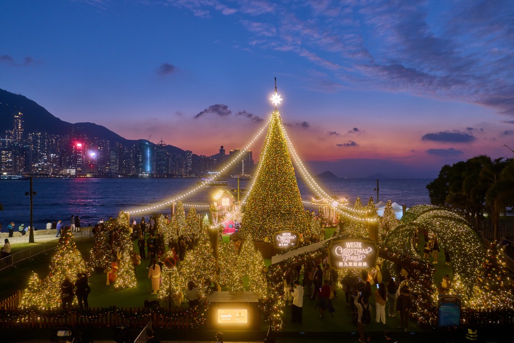 WestK Christmas Forest.