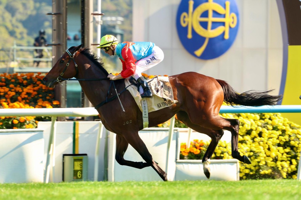 Ka Ying Rising cruises to his 17th consecutive win. Singtao