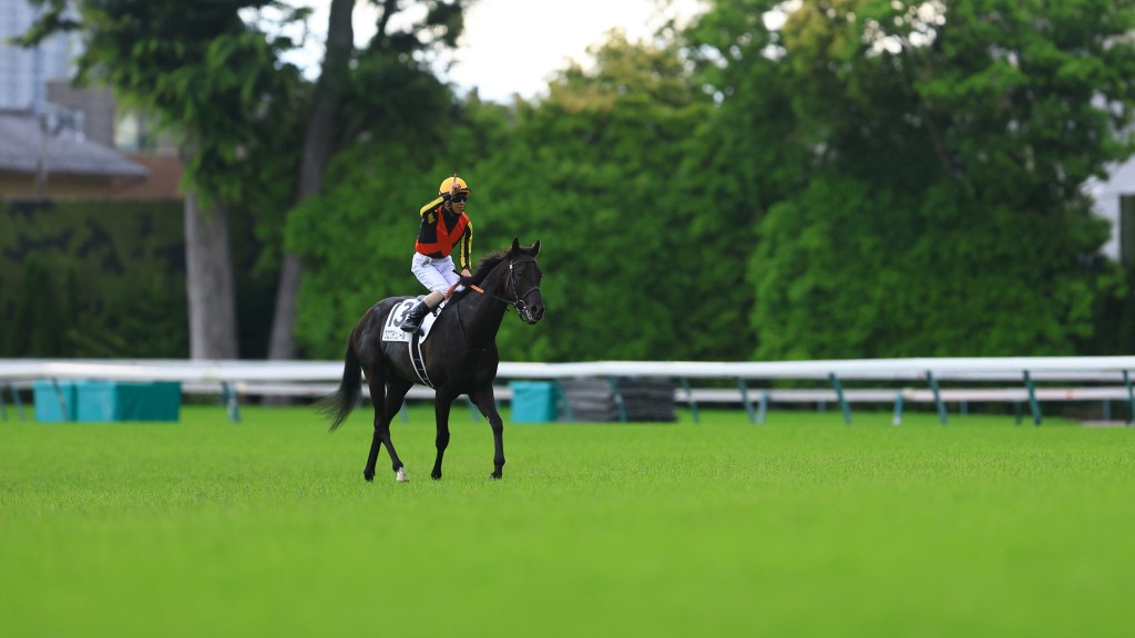 Jockey Yuichi Kitamura returns to scale after winning the G1 Tokyo Yushun at Tokyo (IDOL HORSE/SHUHEI OKADA) 