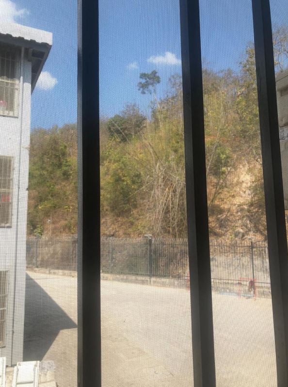 Photo: Red Star News