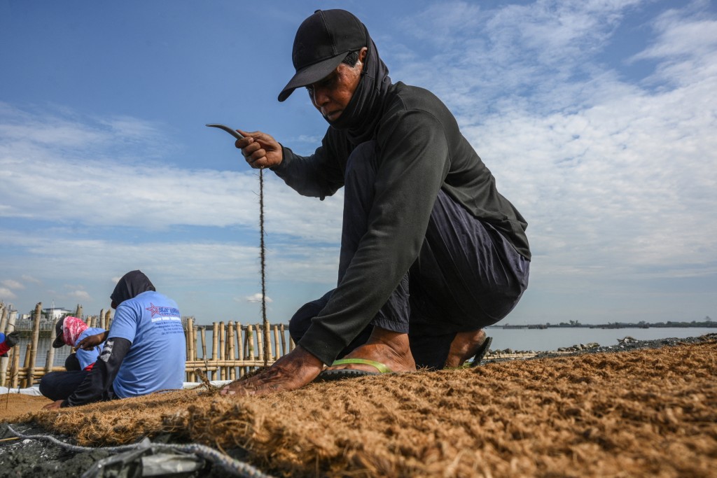 Photo by TED ALJIBE / AFP In this photo taken on October 13, 2026, workers sew coconut-fibre bags on a breakwater at Pamarawan Island in Malolos City, Bulacan province.