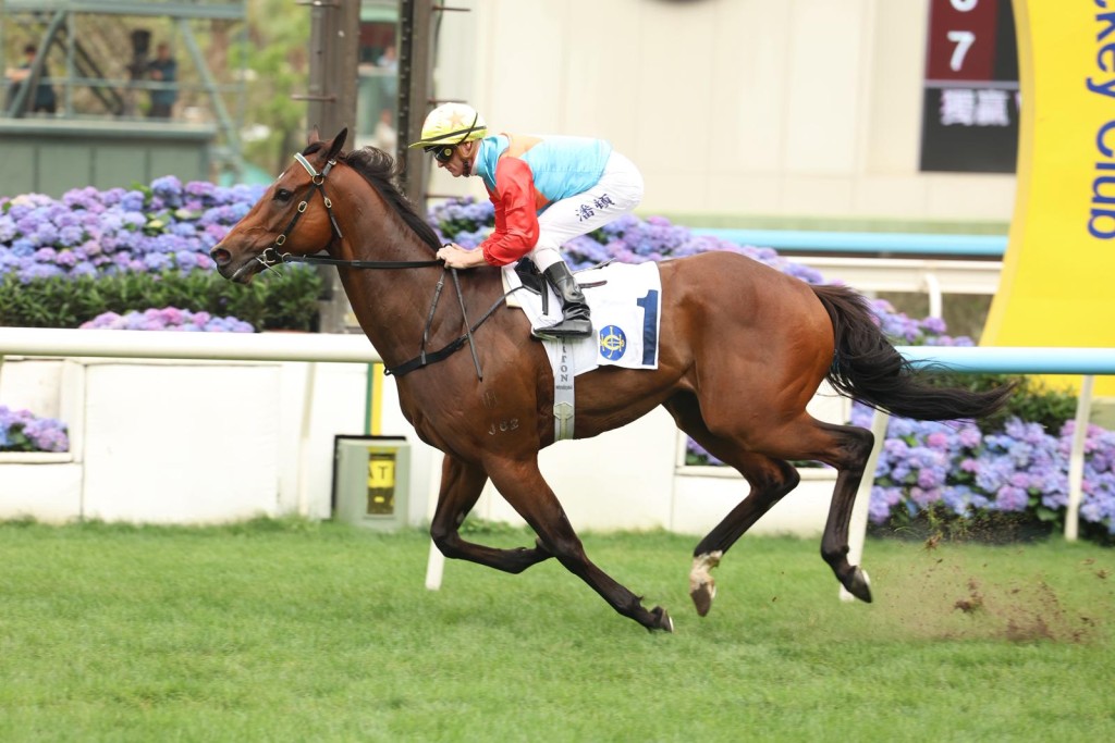 Ka Ying Rising cruises to the line for his 19th consecutive victory. Sing Tao