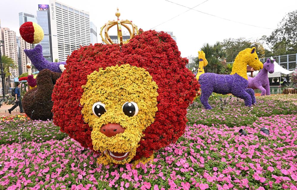 Photo shows parterre, Wonders of Africa.