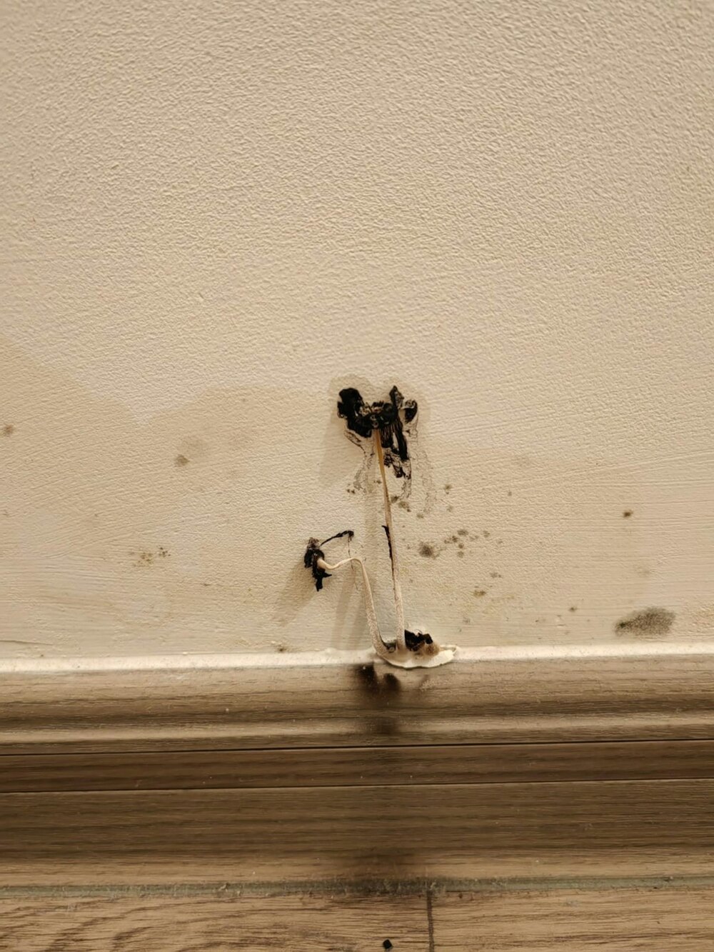 Various types of leakage were observed at the housing project, including leaks from washing machine drainage pipes, water supply pipes, rainwater seepage in corridor platforms, water seepage in bathrooms, walls, and door edges. (Photo: Lam Pok)
