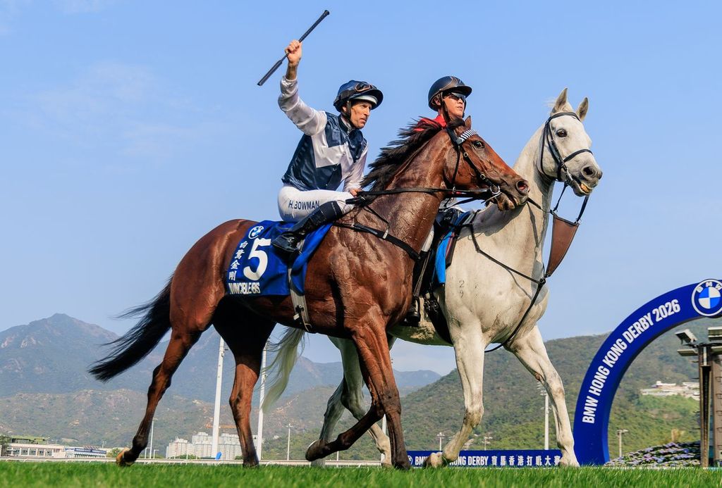 HUGH BOWMAN, INVINCIBLE IBIS / Hong Kong Derby // Sha Tin /// 2026 //// Grant Courtney HUGH BOWMAN, INVINCIBLE IBIS / Hong Kong Derby // Sha Tin /// 2026 //// Grant Courtney