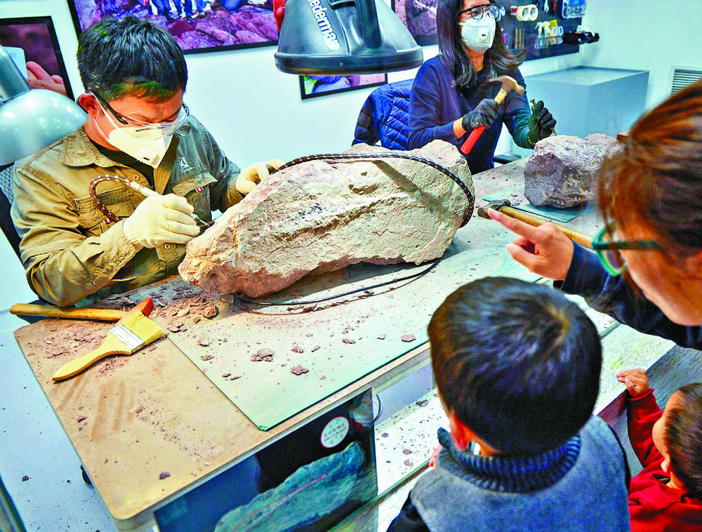 Heritage Discovery Centre exhibition visitors can watch experts clean the dinosaur fossils that were found on Port Island, New Territories, last October. Heritage Discovery Centre exhibition visitors can watch experts clean the dinosaur fossils that were found on Port Island, New Territories, last October.