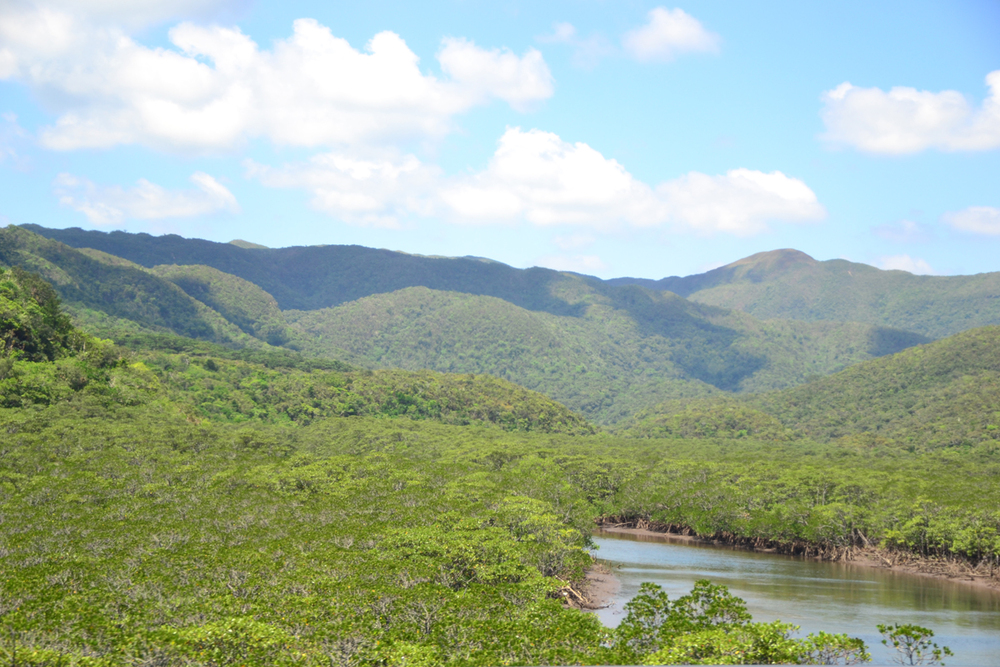 Iriomote Island