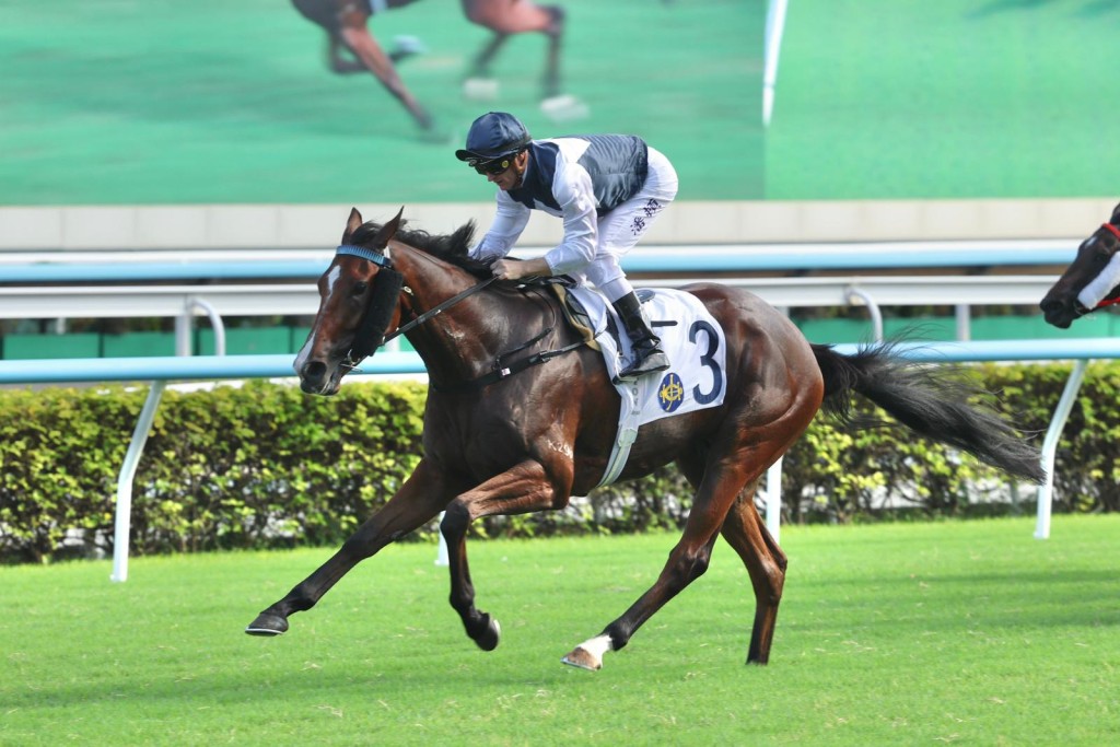 Invincible Ibis stretches to the line. Trainer Mark Newnham was happy to talk about the possibility of the Classic Mile with the horse (SING TAO) 