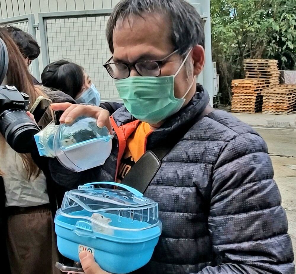 Pet owners turn over their hamsters to AFCD officers, right, to be put down.Sing Tao 