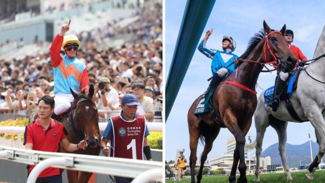 Ka Ying Rising and Romantic Warrior have dominated the 2025/26 Hong Kong racing season.