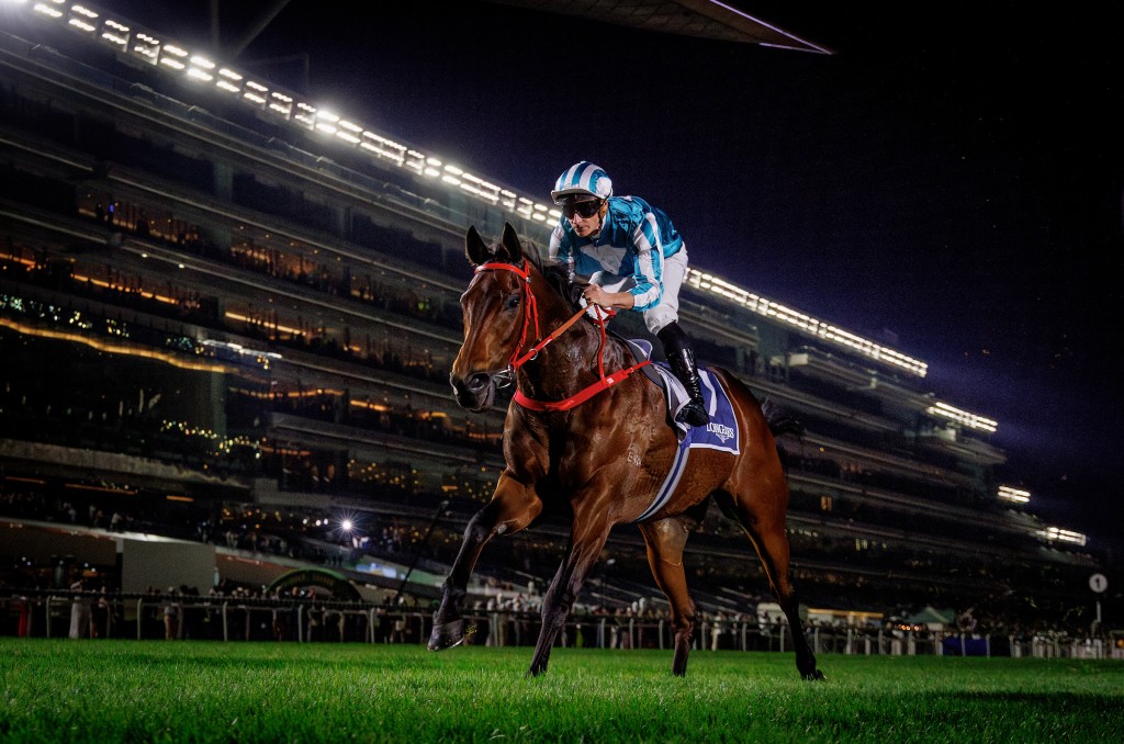 Romantic Warrior, at a rating of 126, stands at joint-fourth place in the LONGINES World's Best Racehorse Rankings. (HKJC)