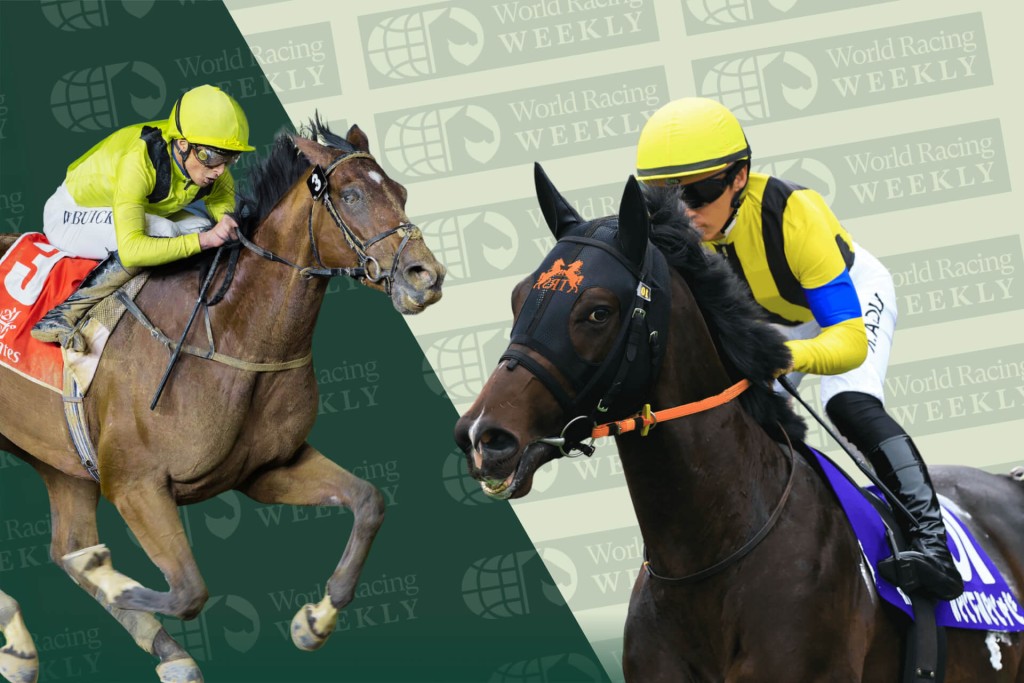 Meydaan, Jantar Mantar. Idol Horse