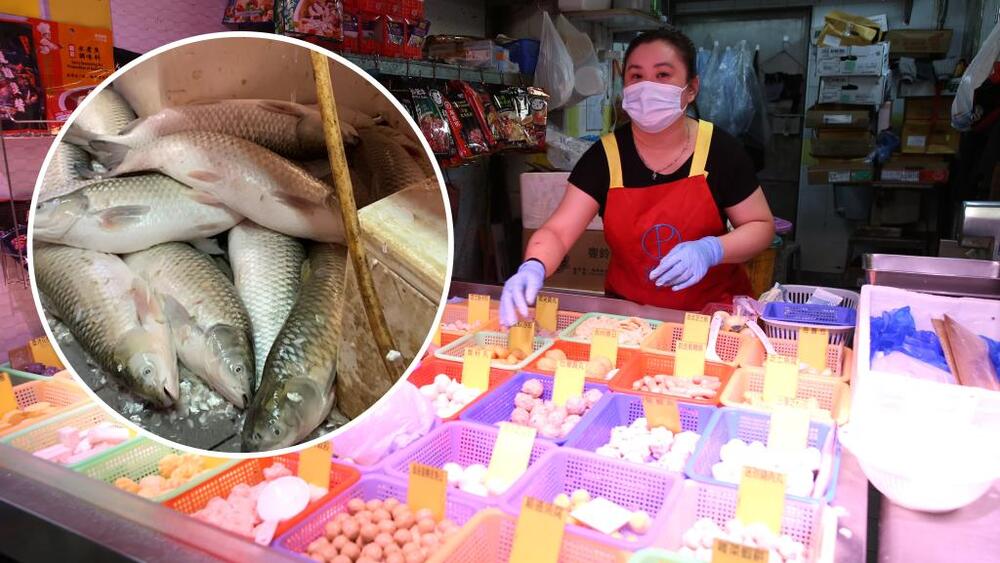 Meat and fish stalls faced great loss after massive blackout. Meat and fish stalls faced great loss after massive blackout.