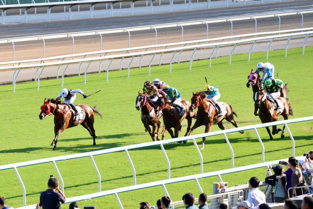 Fast Network stretches for home in the G3 National Day Cup (SING TAO) Fast Network stretches for home in the G3 National Day Cup (SING TAO)