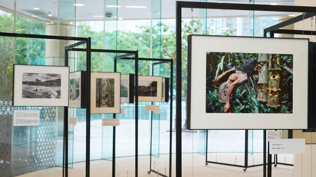 The photographs on display in the exhibition