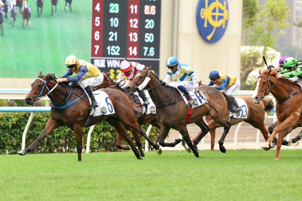 Papaya Bros steps up in trip at Sha Tin on Sunday. Sing Tao