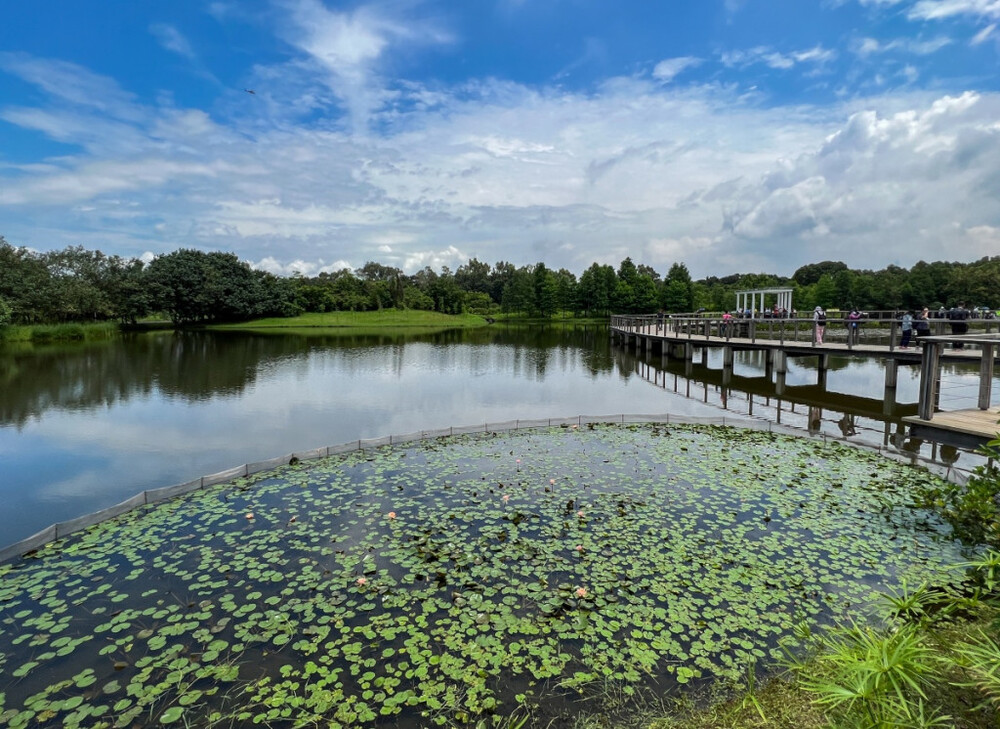 Hong Kong Wetland Park (File Photo) Hong Kong Wetland Park (File Photo)