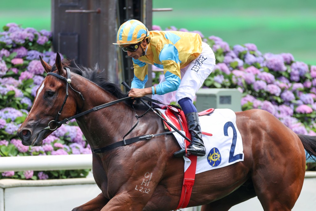 Mr Incredible kicks off his four-year-old campaign at Sha Tin on  Monday. HKJC