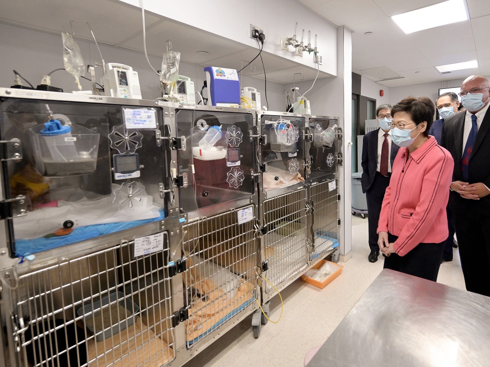 Carrie Lam visits CityU Veterinary Medical Centre. Carrie Lam visits CityU Veterinary Medical Centre.