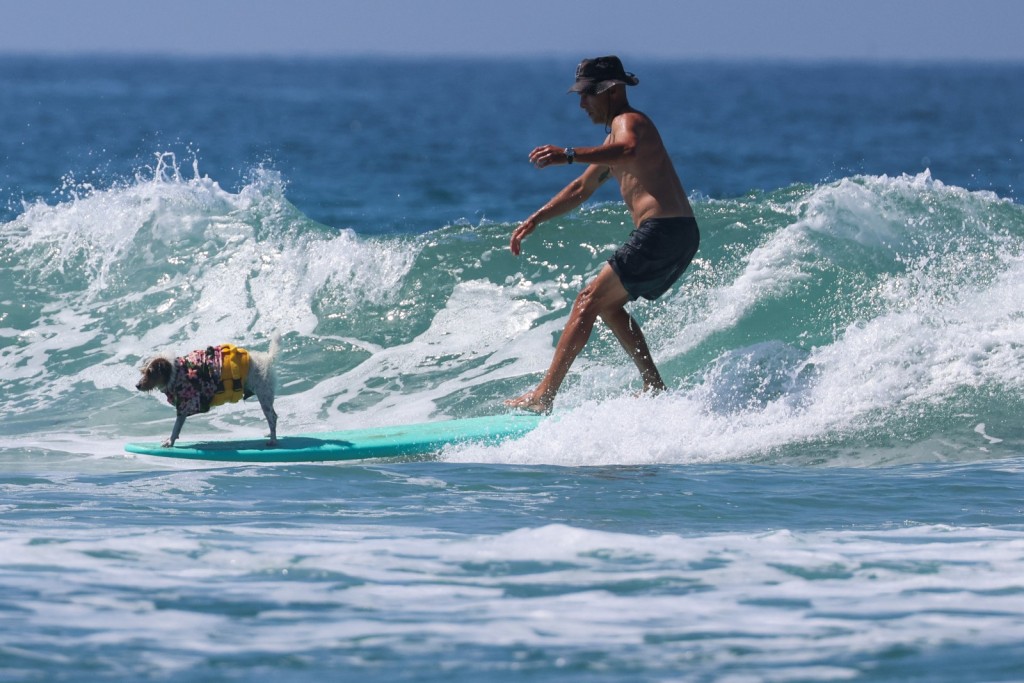 (Photo by Patrict T. FALLON / AFP)