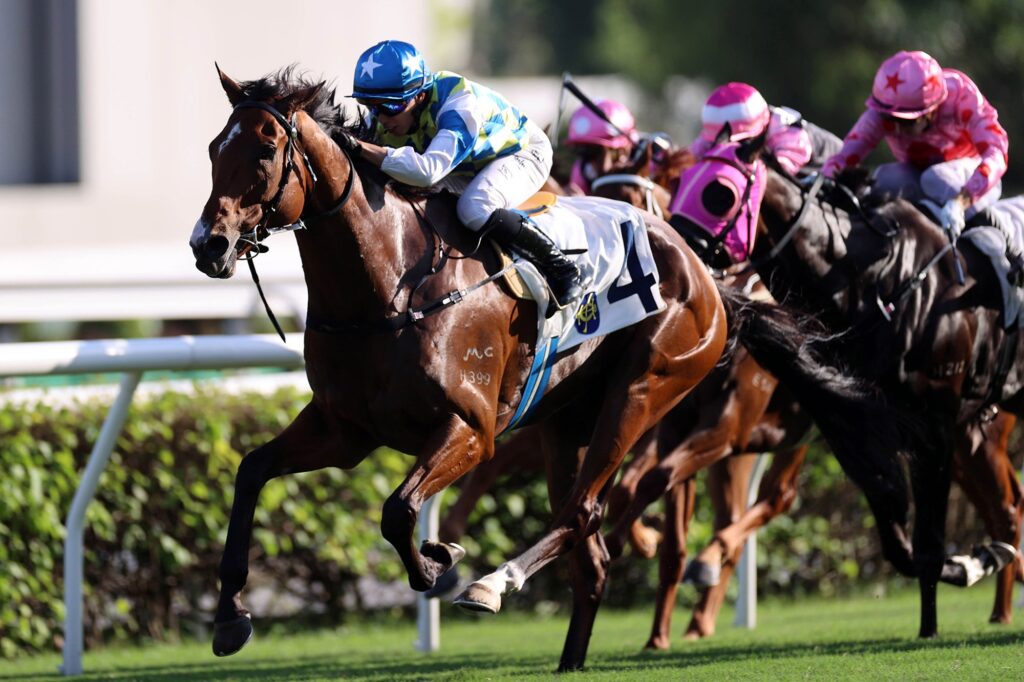 GALAXY PATCH, VINCENT HO / G2 Sha Tin Trophy Hcp // Sha Tin /// 2024 //// Photo by HKJC GALAXY PATCH, VINCENT HO / G2 Sha Tin Trophy Hcp // Sha Tin /// 2024 //// Photo by HKJC
