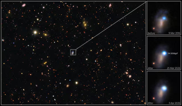 A combination of images show the evolution of supernova SN 2026gzf, which was first detected by the Einstein Probe on March 21, 2026. CTIO/NOIRLab/DOE/NSF/AURA Image Processing: D. de Martin & M. Zamani (NSF NOIRLab)/Handout via REUTERS 