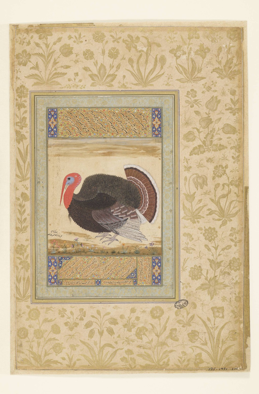 North American Turkey Cock (meleagris gallopavo) Court workshops, Mughal dyansty About 1612 Opaque watercolour and gold on paper Lady Wantage Bequest The Victoria and Albert Museum, IM.135– 1921