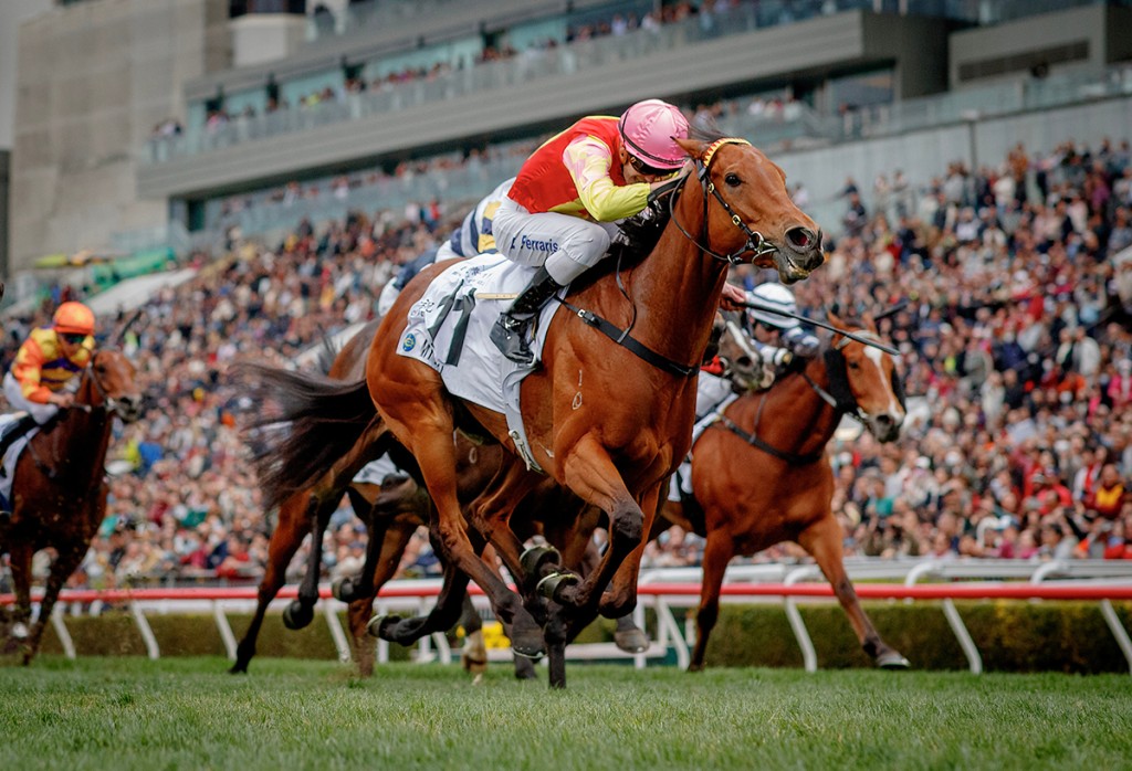 My Wish returns to racing in Monday's G2 Sha Tin Trophy Handicap. HKJC