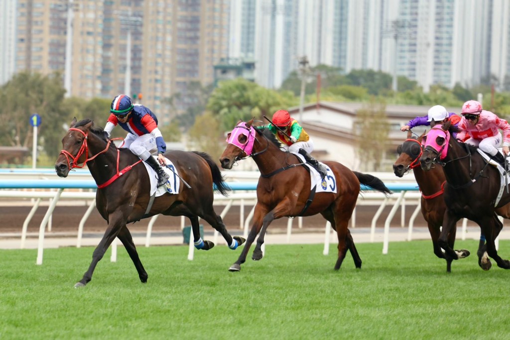Distance won’t be a problem for Numbers, left, according to trainer Frankie Lor, following his G3 Centenary Vase victory at Sha Tin.  
