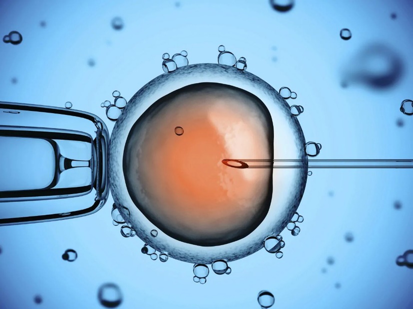 Film 'Joy' tells true story of the world's first test tube baby