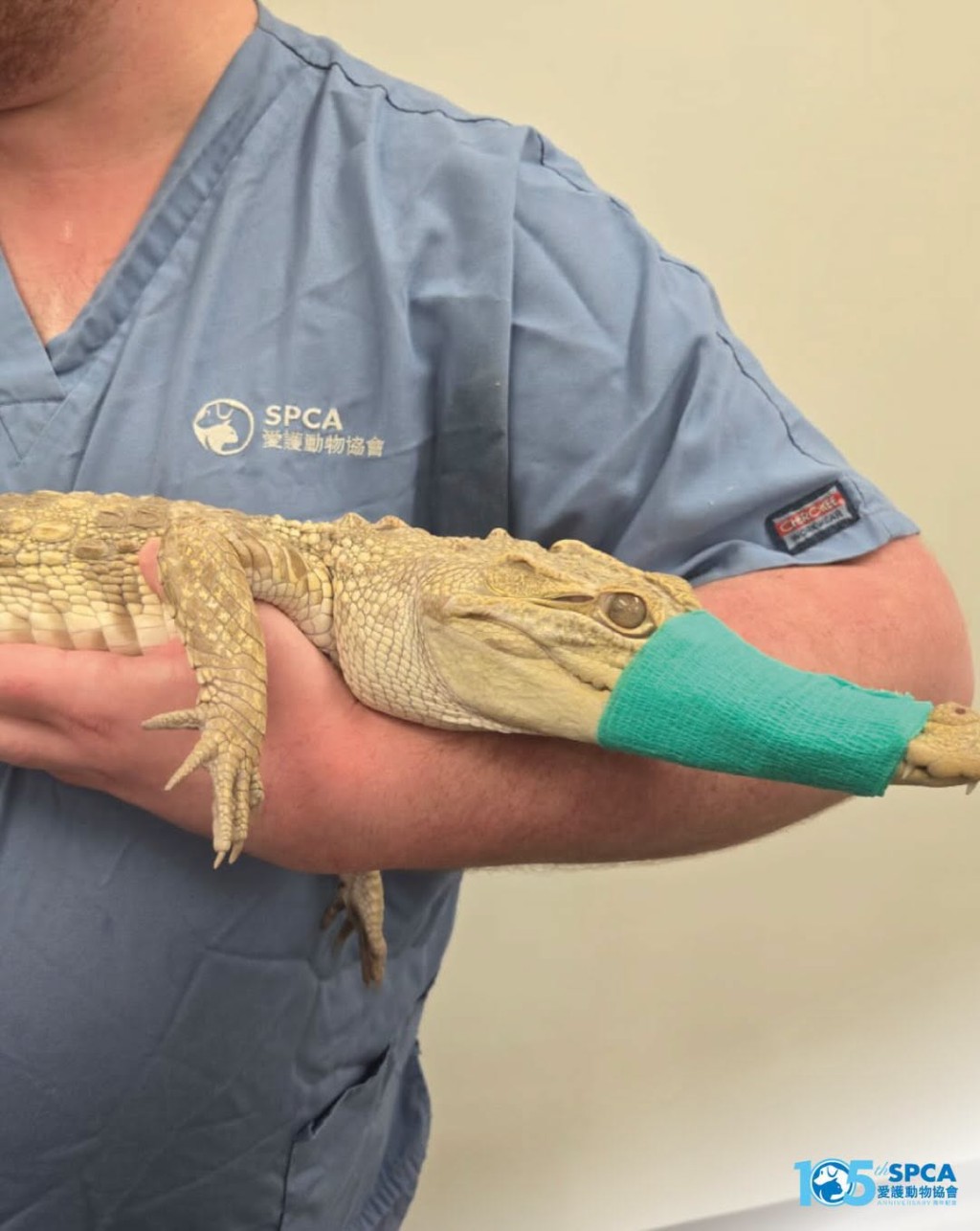 Source: SPCA