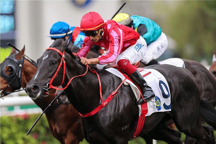 Mr Cool is Luke Middlebrook's best bet for Saturday's Sha Tin meeting HKJC