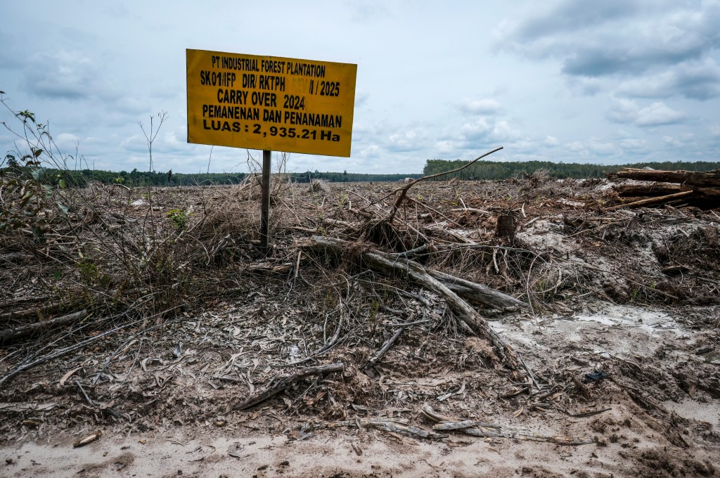Photo by BAY ISMOYO / AFP  This picture taken on February 11, 2026 shows a signboard displaying the company name, permit, function, and land management area on forest land cleared for industrial planting in Lahei Mangkutup, Kapuas Regency in Indonesia's Central Kalimantan Province.